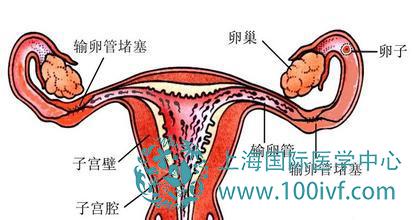 下载 (8).jpg